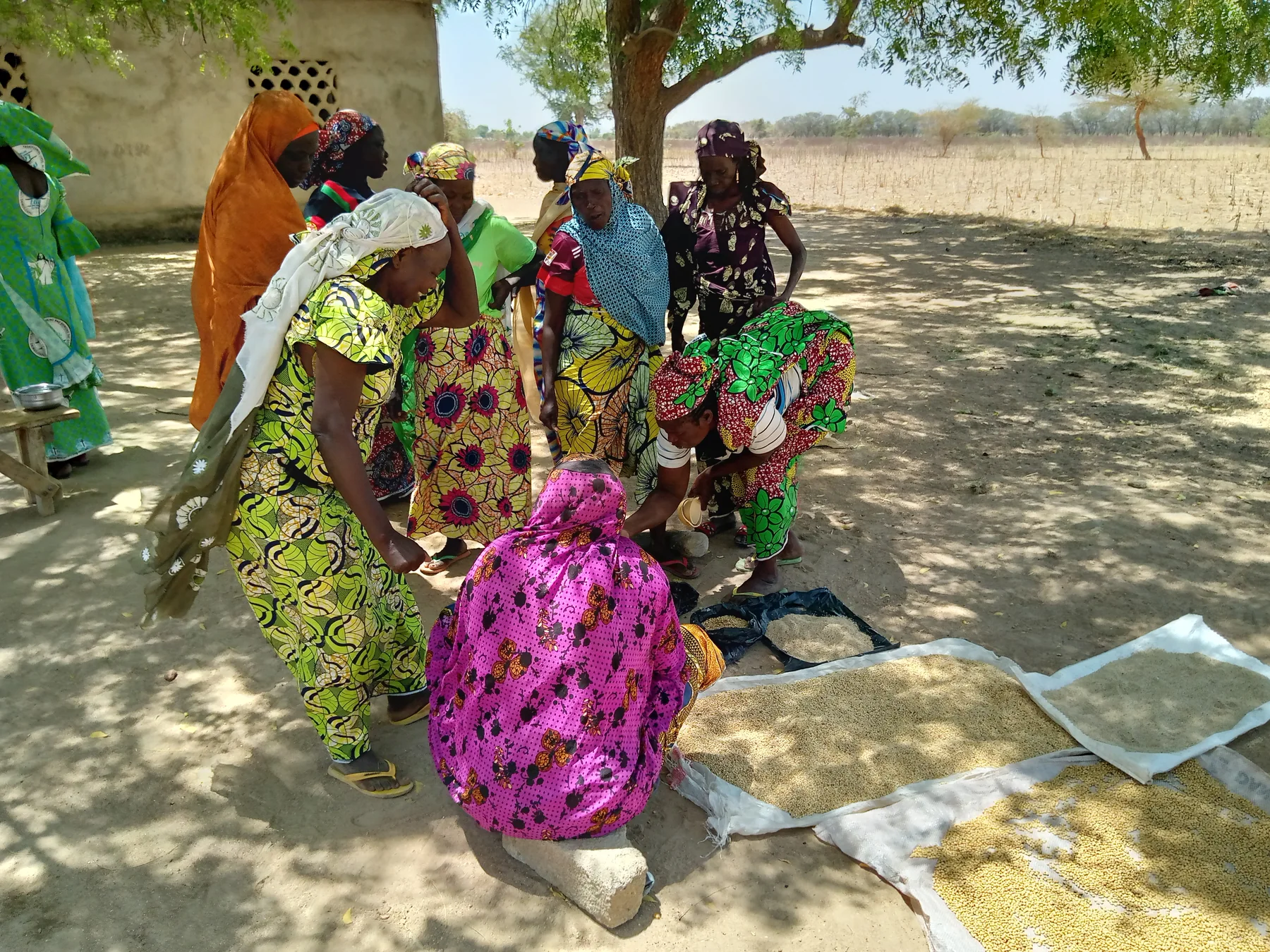 Femmes participant à une démonstration de fabrication de farine enrichie